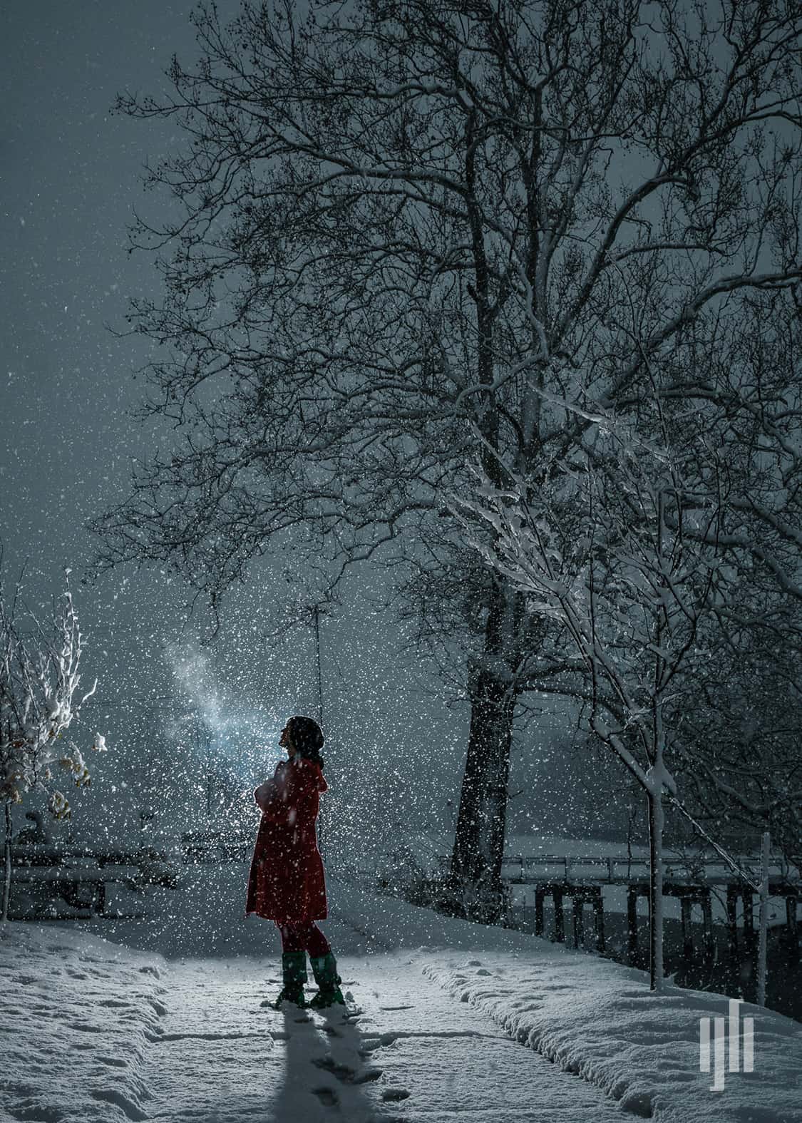 lightbox-grant-beachy-photo-gallery-snowfall Grant Beachy Photo: Gallery Image