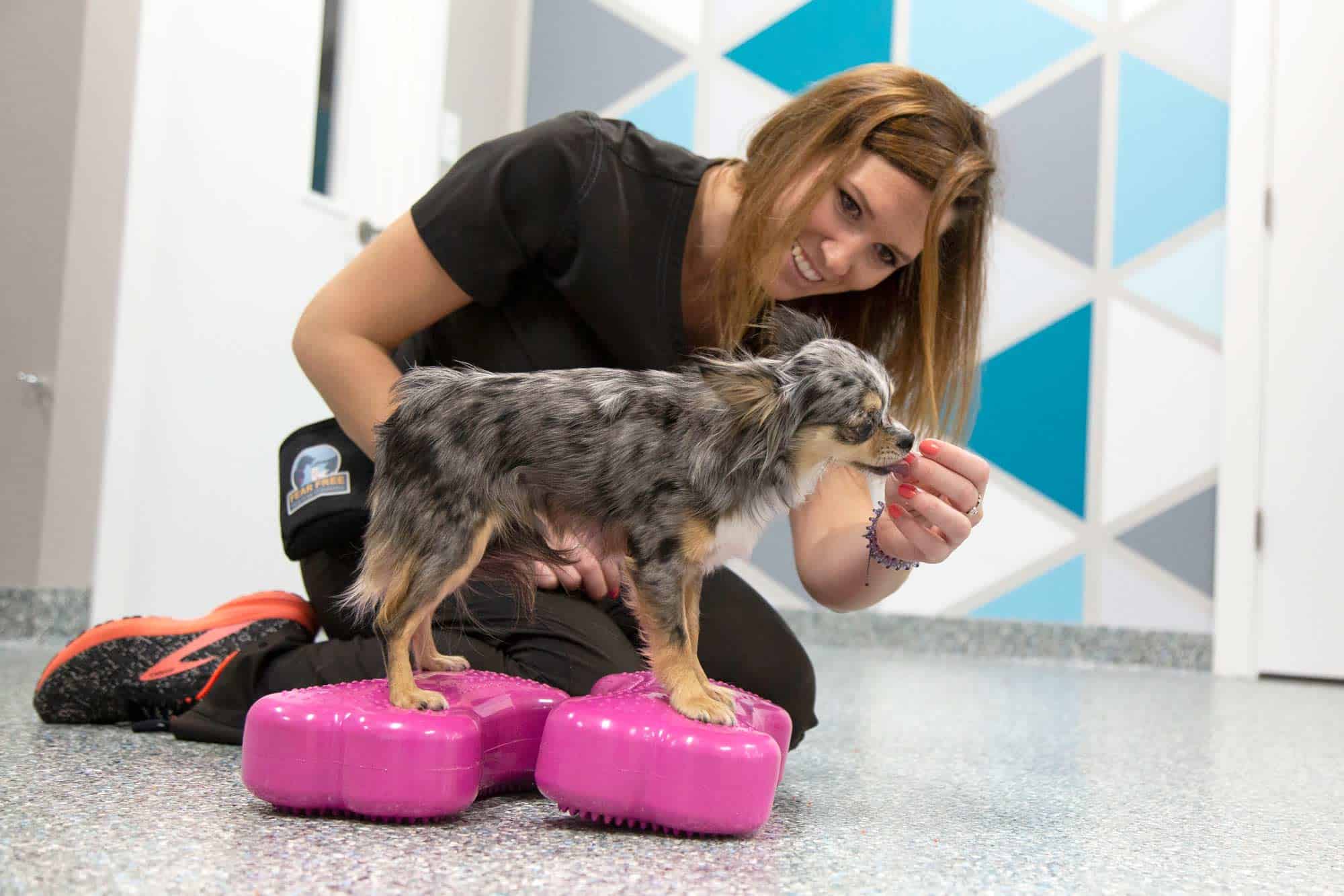 MARS Lauren giving pup treats.