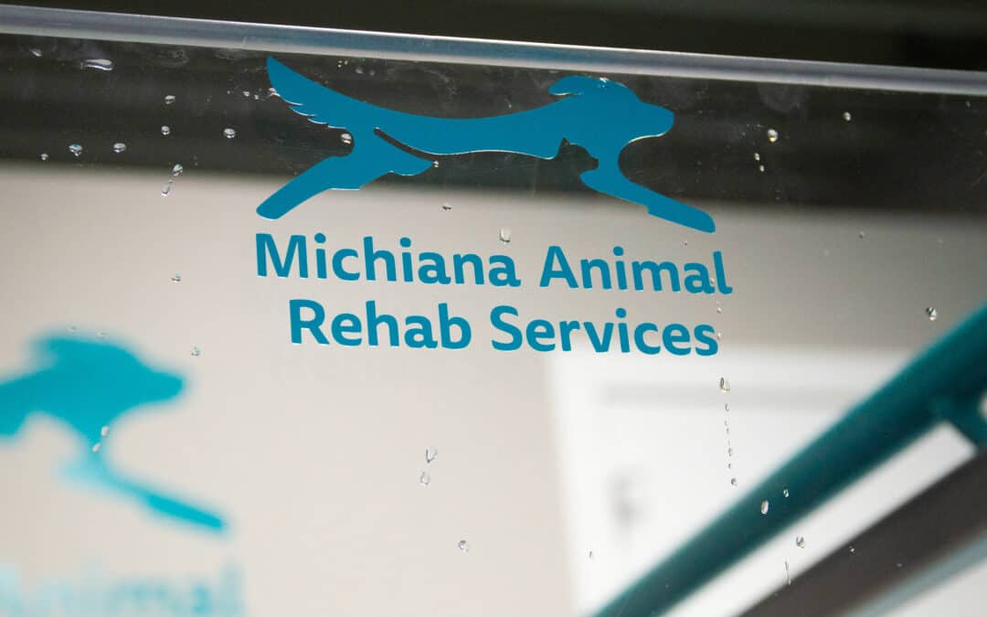 Michiana Animal Rehab