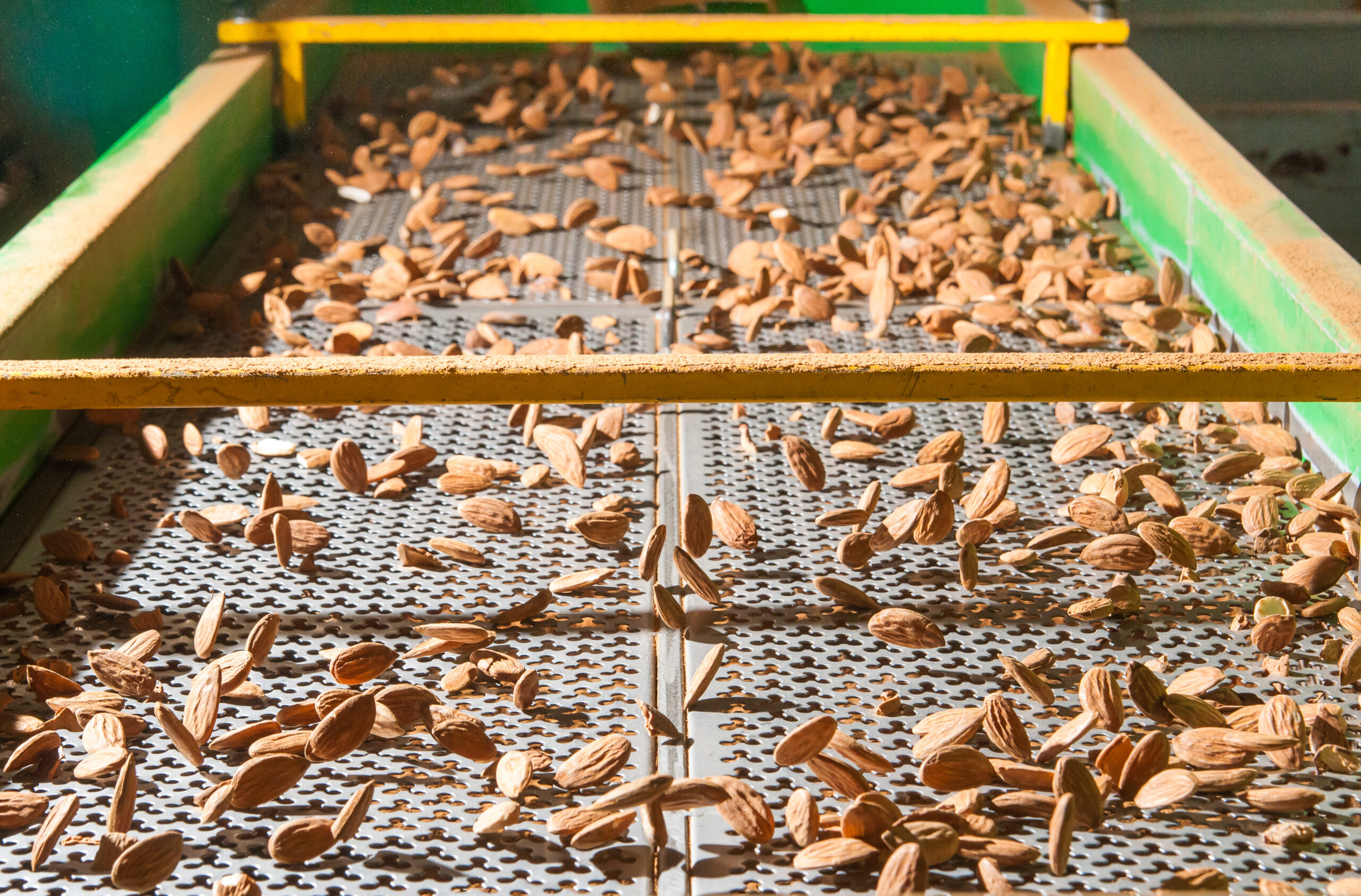 The process of almond selection and calibration in a carriage of a modern factory Grant Beachy