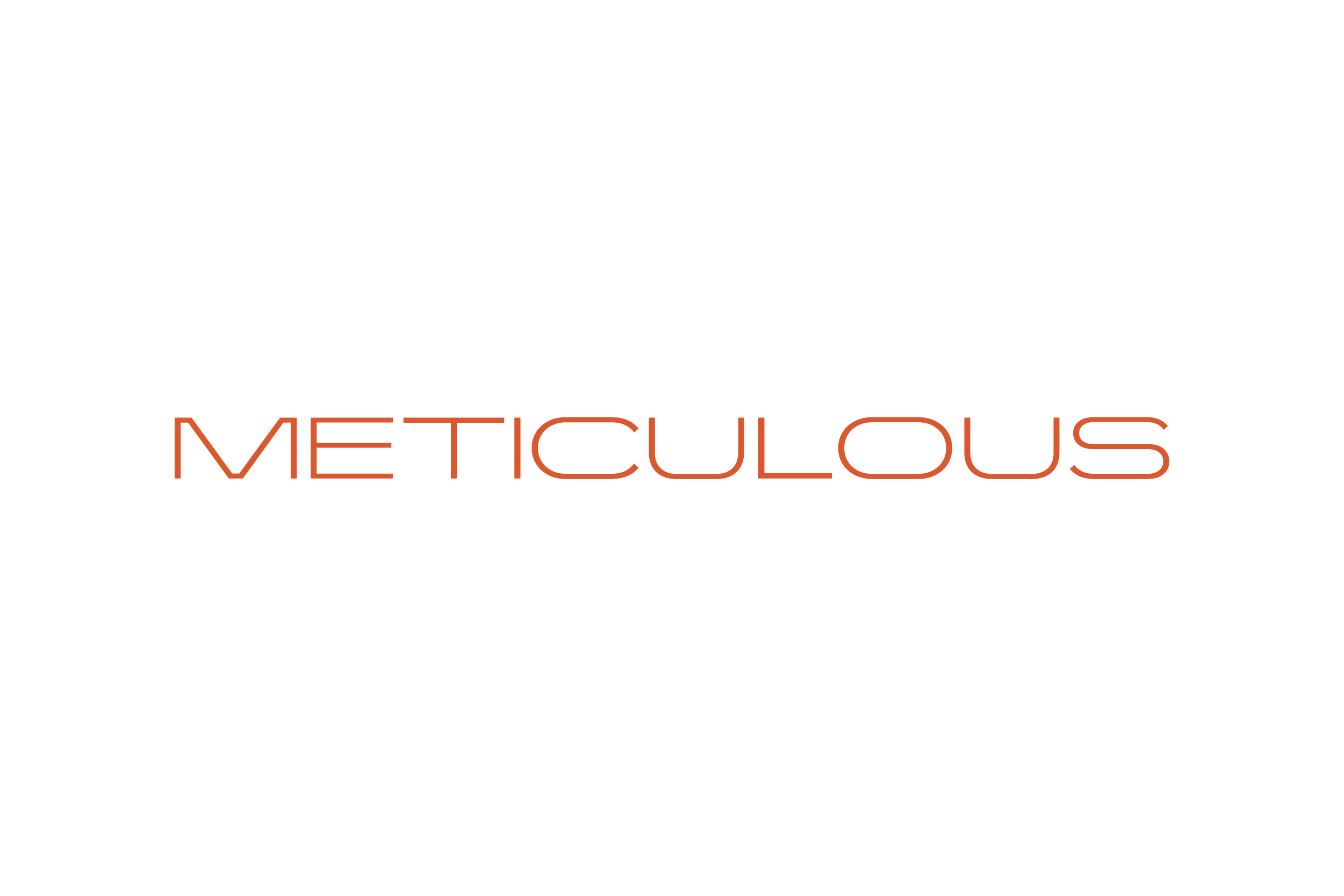 METICULOUS Wordmark