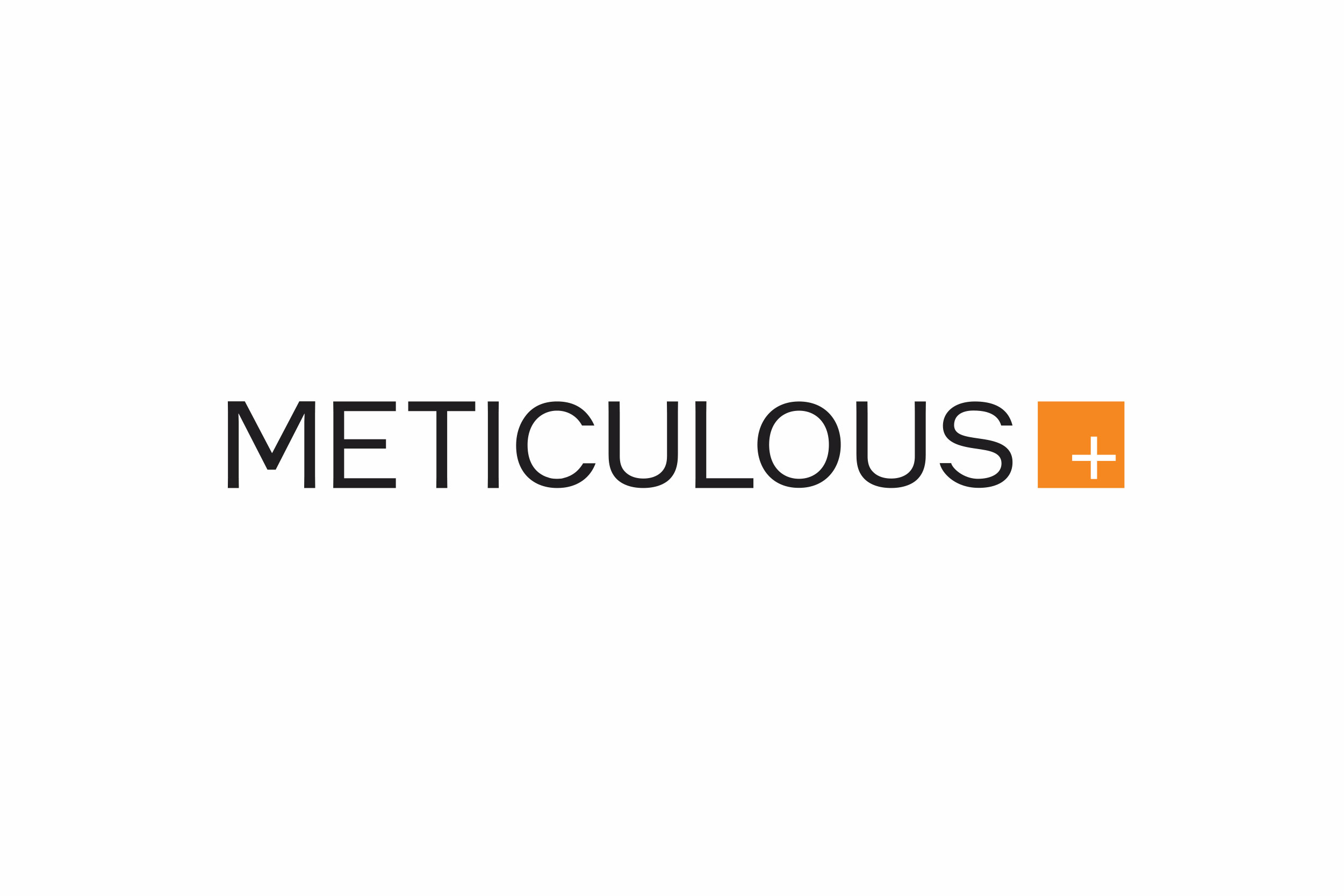Meticulous Logo